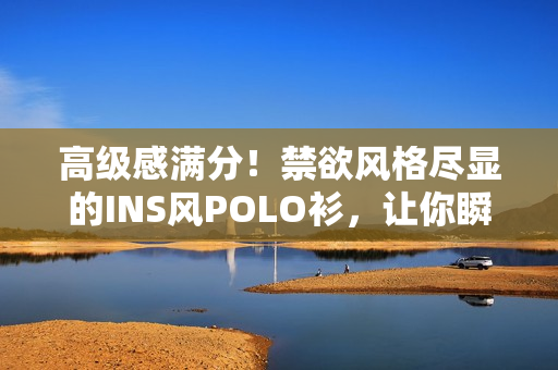 高級感滿分！禁欲風(fēng)格盡顯的INS風(fēng)POLO衫，讓你瞬間成為時尚焦點(diǎn)