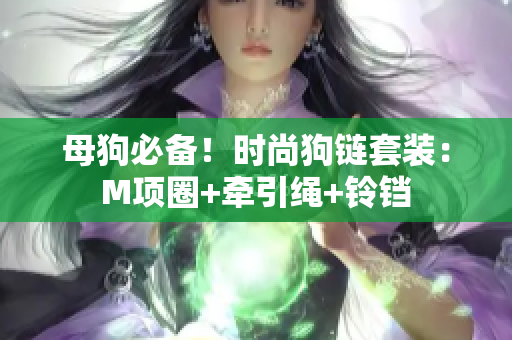 母狗必備！時(shí)尚狗鏈套裝：M項(xiàng)圈+牽引繩+鈴鐺