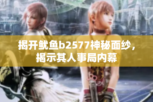 揭開魷魚b2577神秘面紗，揭示其人事局內(nèi)幕