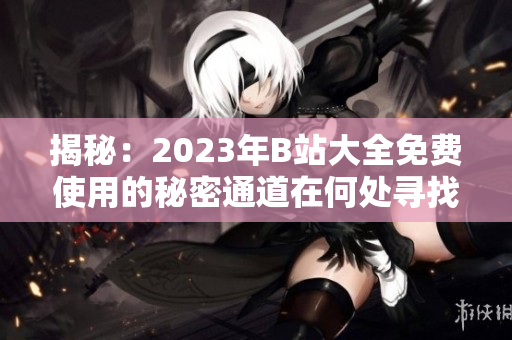 揭秘：2023年B站大全免費(fèi)使用的秘密通道在何處尋找？