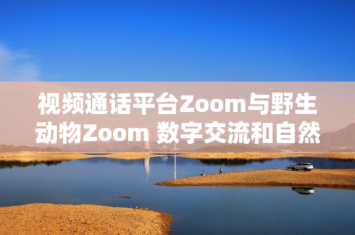 視頻通話平臺Zoom與野生動(dòng)物Zoom 數(shù)字交流和自然奇觀的奇妙對話