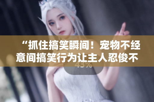 “抓住搞笑瞬間！寵物不經(jīng)意間搞笑行為讓主人忍俊不禁！”