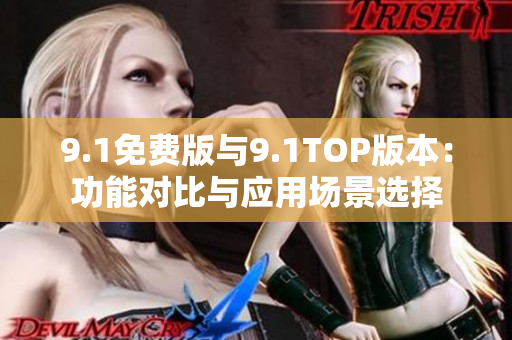9.1免費(fèi)版與9.1TOP版本：功能對比與應(yīng)用場景選擇