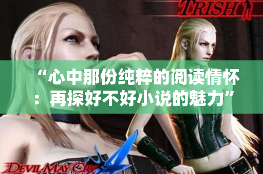 “心中那份純粹的閱讀情懷：再探好不好小說(shuō)的魅力”
