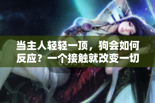 當(dāng)主人輕輕一頂，狗會(huì)如何反應(yīng)？一個(gè)接觸就改變一切的親密時(shí)刻。