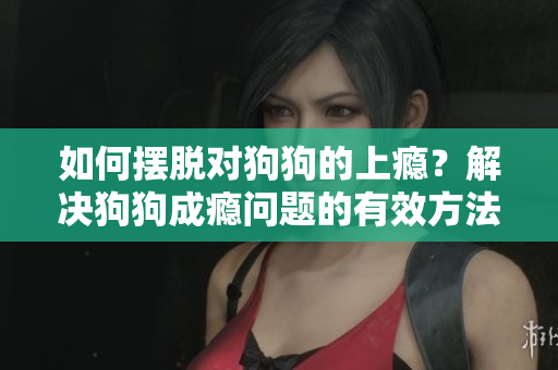 如何擺脫對(duì)狗狗的上癮？解決狗狗成癮問題的有效方法