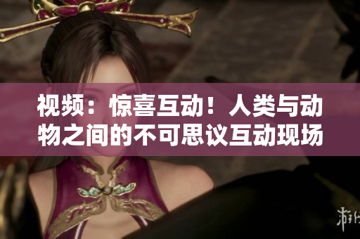 視頻：驚喜互動(dòng)！人類(lèi)與動(dòng)物之間的不可思議互動(dòng)現(xiàn)場(chǎng)【高清下載】