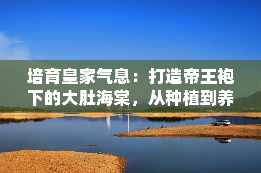 培育皇家氣息：打造帝王袍下的大肚海棠，從種植到養(yǎng)護一攬皆全