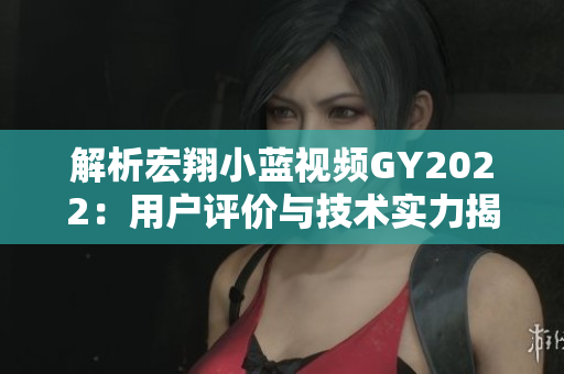 解析宏翔小藍視頻GY2022：用戶評價與技術(shù)實力揭秘