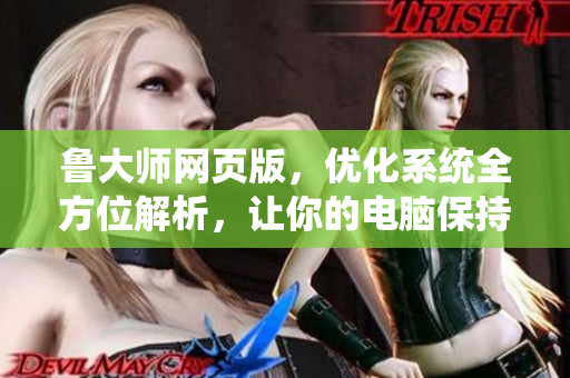 魯大師網(wǎng)頁版，優(yōu)化系統(tǒng)全方位解析，讓你的電腦保持良好狀態(tài)