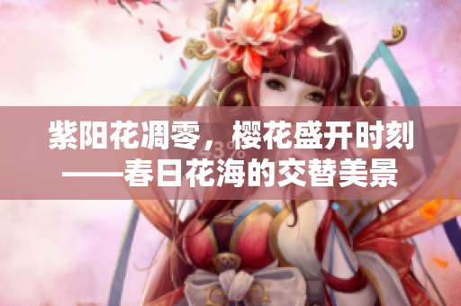紫陽(yáng)花凋零，櫻花盛開(kāi)時(shí)刻——春日花海的交替美景