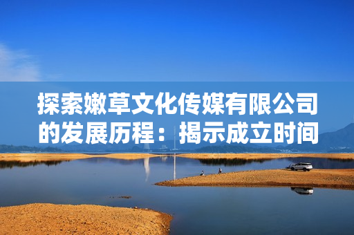 探索嫩草文化傳媒有限公司的發(fā)展歷程：揭示成立時間與關(guān)鍵事件背后的故事  