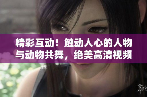 精彩互動！觸動人心的人物與動物共舞，絕美高清視頻素材即刻下載！