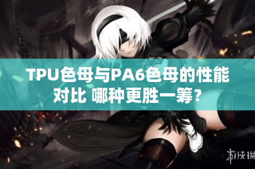 TPU色母與PA6色母的性能對比 哪種更勝一籌？