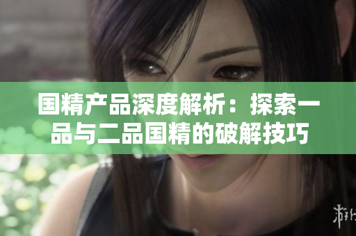 國精產(chǎn)品深度解析：探索一品與二品國精的破解技巧