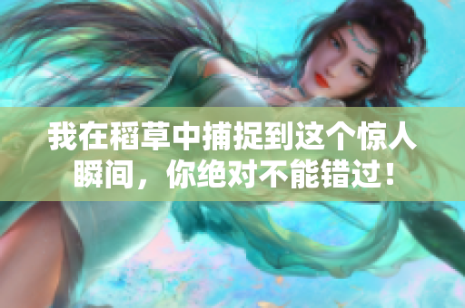 我在稻草中捕捉到這個(gè)驚人瞬間，你絕對(duì)不能錯(cuò)過(guò)！