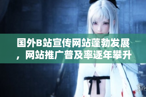 國(guó)外B站宣傳網(wǎng)站蓬勃發(fā)展，網(wǎng)站推廣普及率逐年攀升