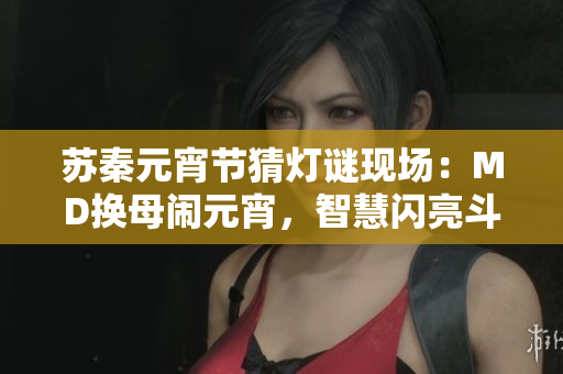 蘇秦元宵節(jié)猜燈謎現場：MD換母鬧元宵，智慧閃亮斗燈謎