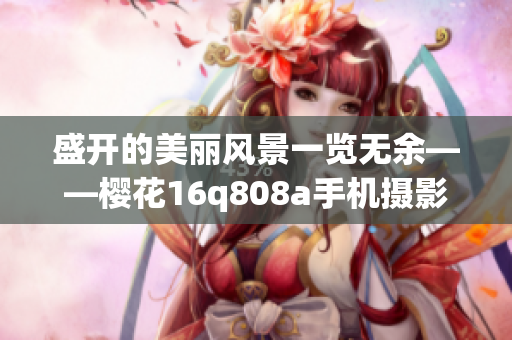 盛開的美麗風(fēng)景一覽無余——櫻花16q808a手機攝影分享