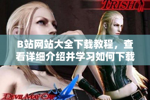 B站網(wǎng)站大全下載教程，查看詳細(xì)介紹并學(xué)習(xí)如何下載B站上的視頻、音樂和圖片