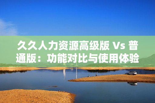 久久人力資源高級版 Vs 普通版：功能對比與使用體驗大揭秘