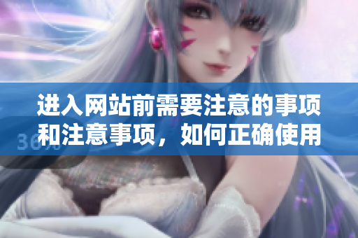 進(jìn)入網(wǎng)站前需要注意的事項(xiàng)和注意事項(xiàng)，如何正確使用瀏覽器進(jìn)行網(wǎng)站瀏覽。