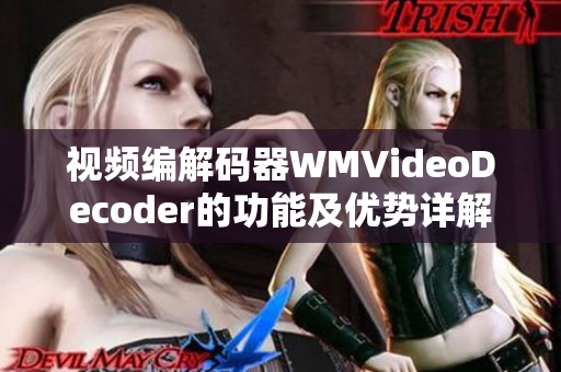 視頻編解碼器WMVideoDecoder的功能及優(yōu)勢(shì)詳解