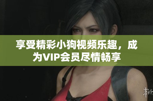 享受精彩小狗視頻樂(lè)趣，成為VIP會(huì)員盡情暢享