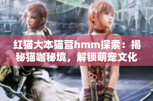 紅貓大本貓營(yíng)hmm探索：揭秘貓咖秘境，解鎖萌寵文化大解碼