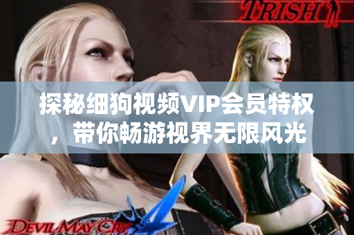 探秘細狗視頻VIP會員特權，帶你暢游視界無限風光