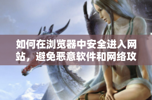 如何在瀏覽器中安全進(jìn)入網(wǎng)站，避免惡意軟件和網(wǎng)絡(luò)攻擊？