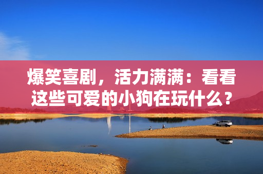 爆笑喜劇，活力滿滿：看看這些可愛的小狗在玩什么？