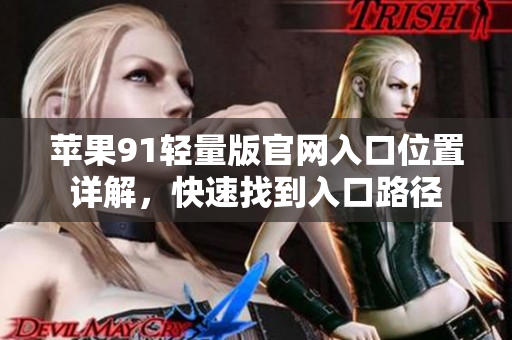 蘋果91輕量版官網(wǎng)入口位置詳解，快速找到入口路徑
