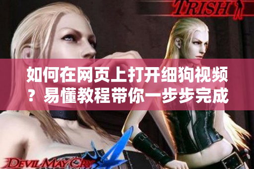 如何在網(wǎng)頁(yè)上打開細(xì)狗視頻？易懂教程帶你一步步完成