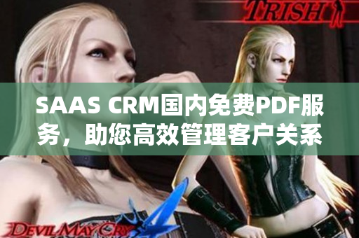 SAAS CRM國內(nèi)免費PDF服務(wù)，助您高效管理客戶關(guān)系