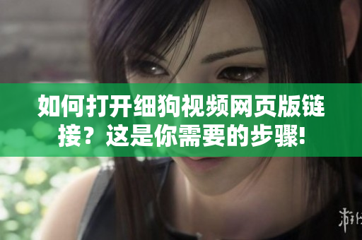 如何打開(kāi)細(xì)狗視頻網(wǎng)頁(yè)版鏈接？這是你需要的步驟!