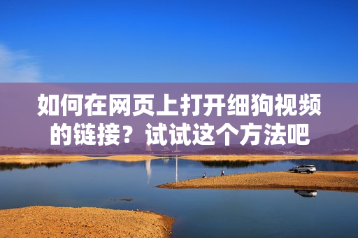 如何在網(wǎng)頁(yè)上打開(kāi)細(xì)狗視頻的鏈接？試試這個(gè)方法吧