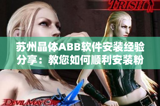 蘇州晶體ABB軟件安裝經(jīng)驗分享：教您如何順利安裝粉色版軟件