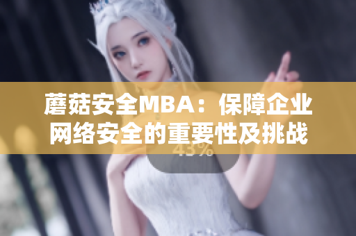 蘑菇安全MBA：保障企業(yè)網絡安全的重要性及挑戰(zhàn)