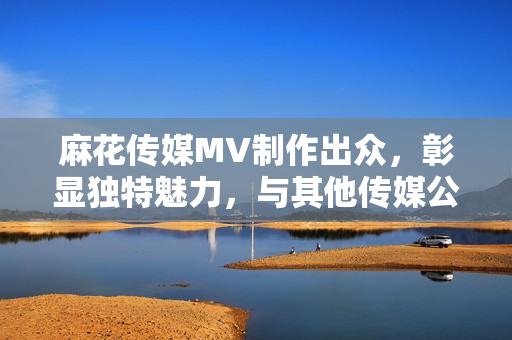 麻花傳媒MV制作出眾，彰顯獨特魅力，與其他傳媒公司相比，迎刃有余