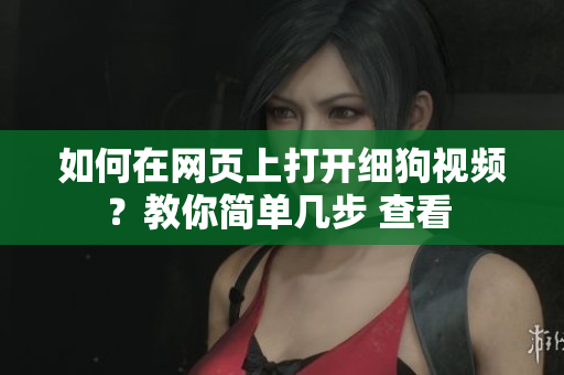 如何在網(wǎng)頁上打開細狗視頻？教你簡單幾步 查看 